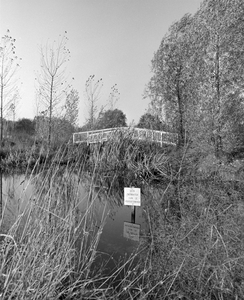 885134 Gezicht op een brugje in het Griftpark te Utrecht met in het water een bord met de tekst 'GEEN ZWEMWATER I.V.M. ...